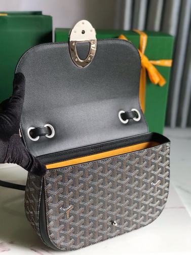 233 Goyard 20213
