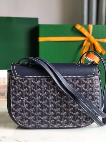 233 Goyard 20213.4