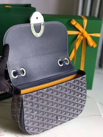 233 Goyard 20213.4