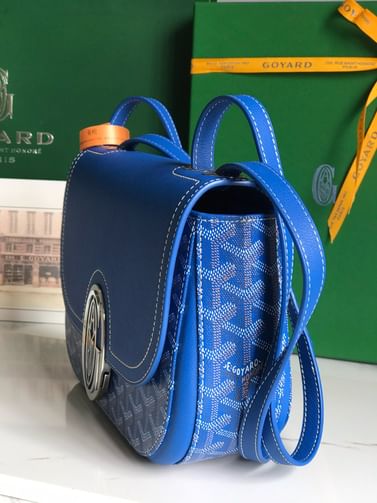 233 Goyard 20213.5