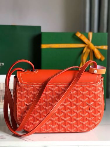 233 Goyard 20213.11