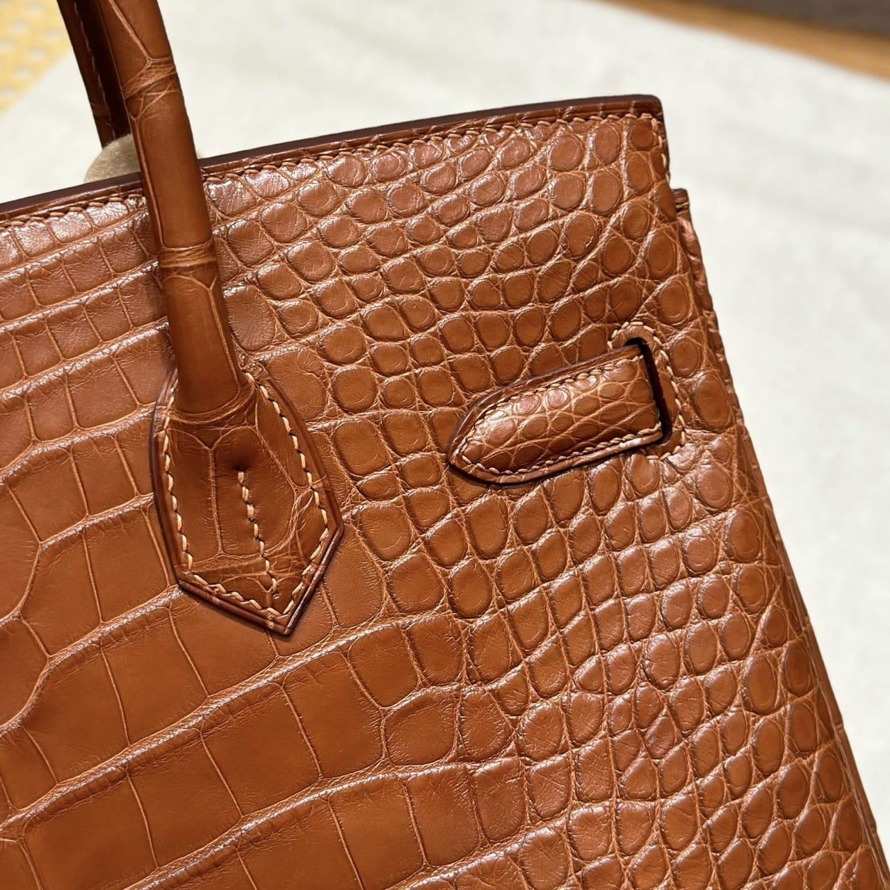 Crocodile / Alligator