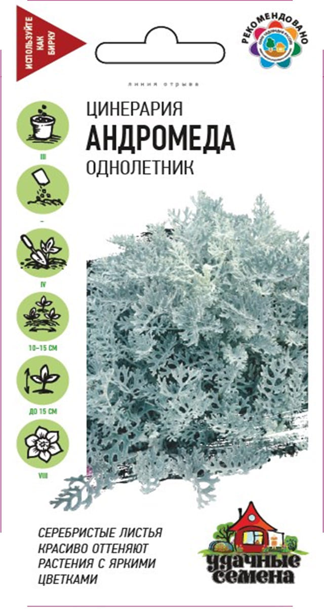 Цинерария приморская Андромеда 0,1г Гавриш