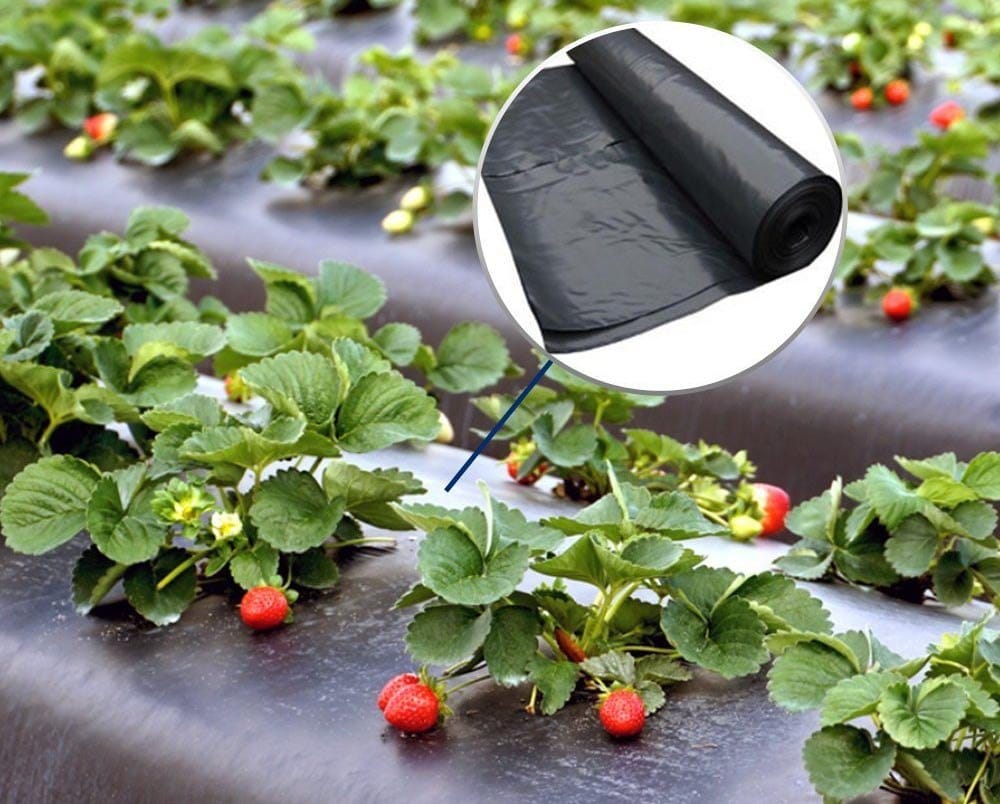 Мульчирующая пленка Европолимер 1\1000\30 мкм