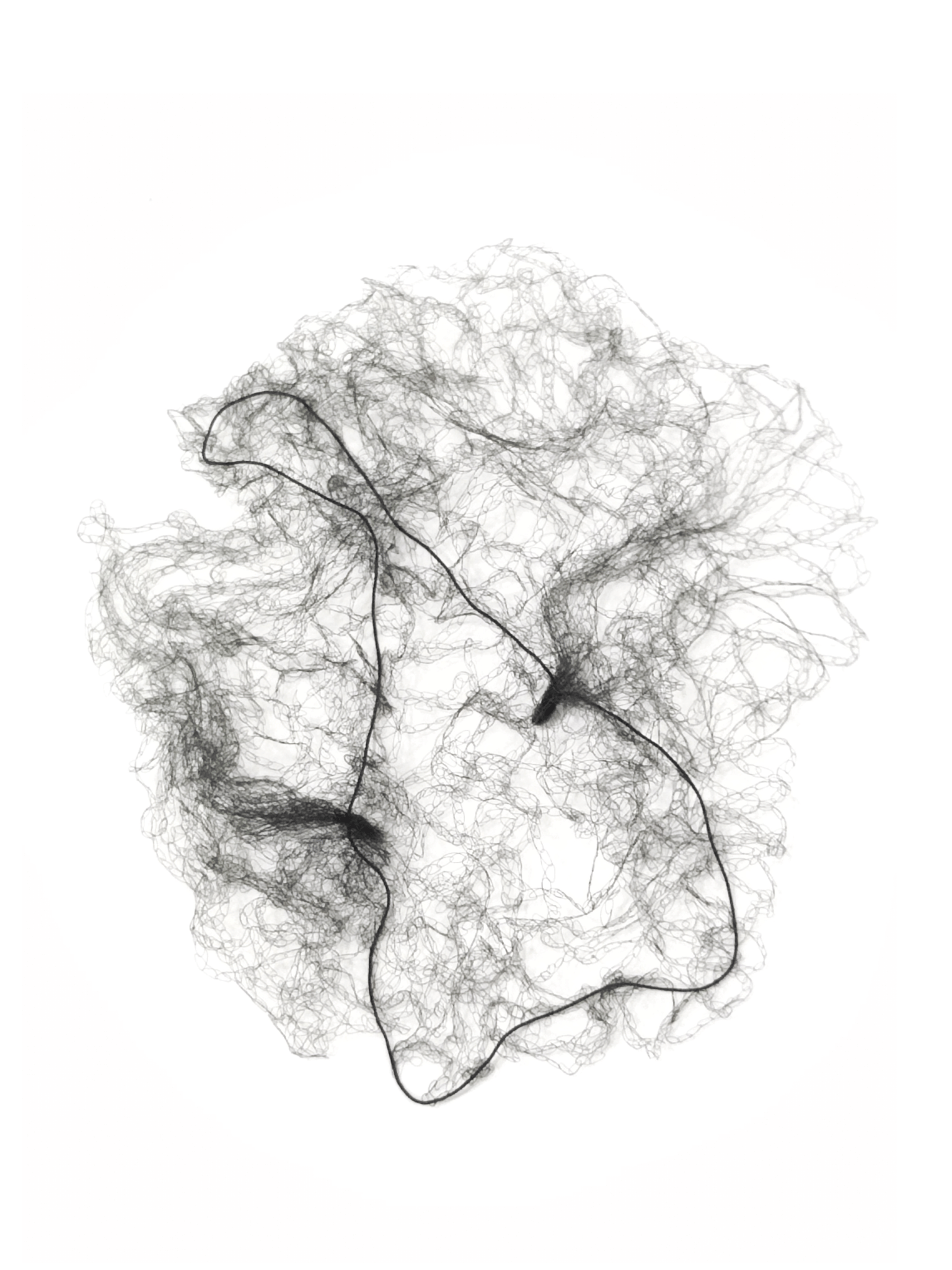 Паутинка (сетка) для волос PASTORELLI