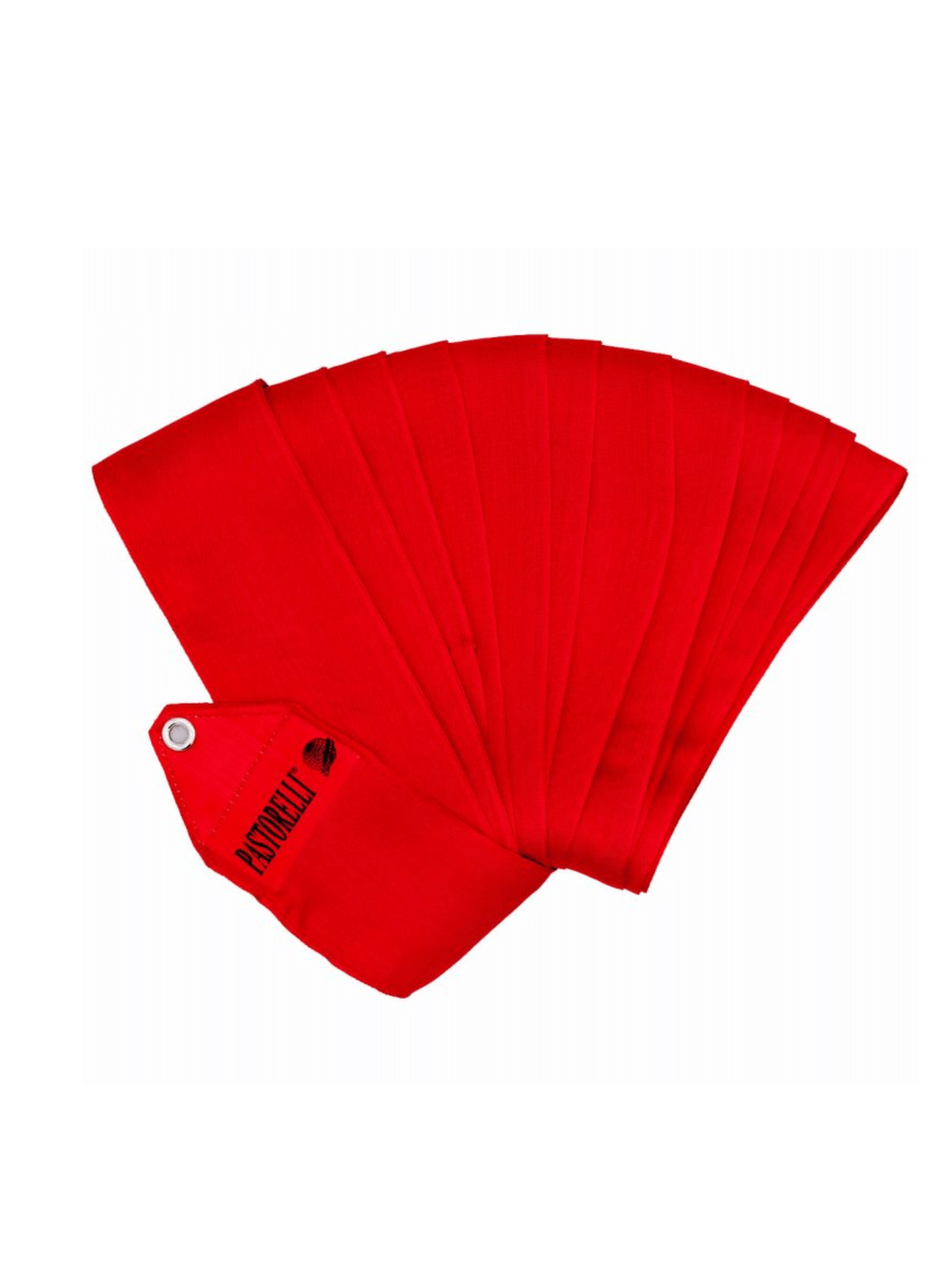 Лента однотонная PASTORELLI 6м