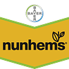 Барвина F1 семена огурца партенокарпического 500 семян Nunhems