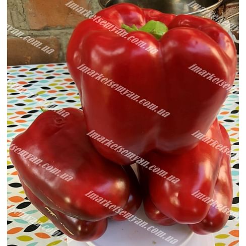 1601 F1 семена перца сладкого 500 семян Lark Seeds/Ларк Сидс