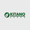 Катан F1 (КС 04 F1) семена перца сладкого среднего 100 семян Kitano/Китано