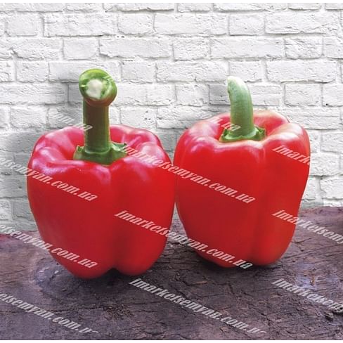 Том F1 новинка семена перца сладкого 500 семян Lark Seeds/Ларк Сидс