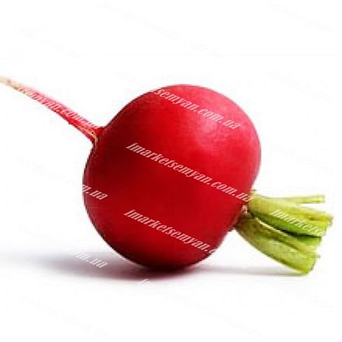 Джолли семена редиса Clause/Клоз