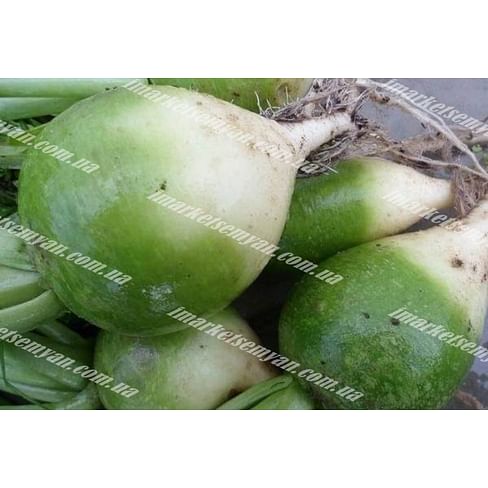 Маргеланская семена редьки (50-70 дней) Semenaoptom/Семенаоптом