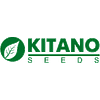 KS 6191 F1 семена дыни тип Ананас Kitano/Китано