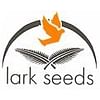 Джаз F1 семена баклажана раннего Lark Seeds/Ларк Сидс