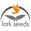 Рико F1 семена баклажана раннего 100 семян Lark Seeds/Ларк Сидс