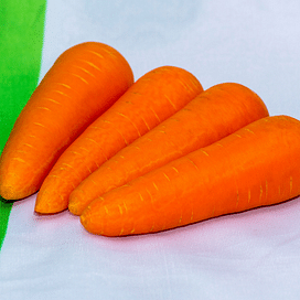 СВ 3118 ДЧ F1 (SV 3118 DH F1) семена моркови (1,6-1,8 мм) Seminis/Семинис