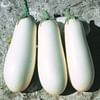 Бибо F1 (Bibo F1) семена баклажана ультраннего белого Seminis/Семинис