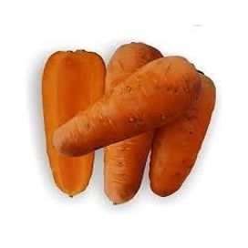 Шантане Роял семена моркови 5 грамм, 500 грамм Griffaton/Грифатон