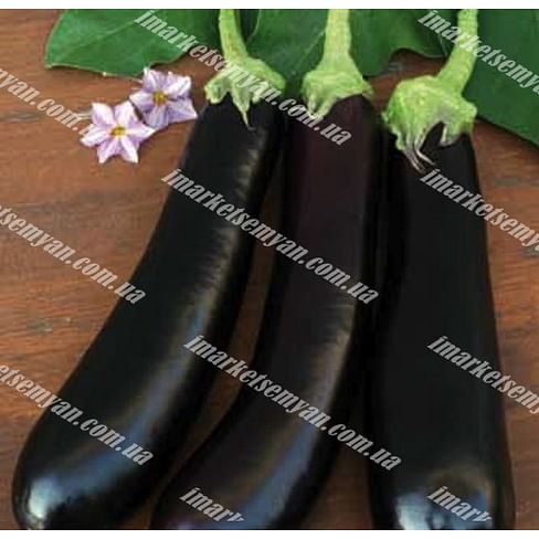 Миринда F1 семена баклажана 1 000 семян Lark Seeds/Ларк Сидс