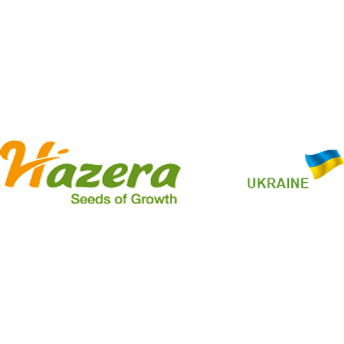 Алоха семена гороха ультрараннего 100 000 семян Hazera