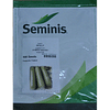 Сцилли F1 (Scilly F1) семена кабачка 500 семян Seminis/Семинис