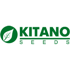 Кобаяши Формула Миксд (Formula Mixed) семена петунии крупноцветковой дражированные 250 семян Kitano/Китано