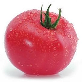 Лучшие сорта томатов для закрытого грунта (для теплиц)