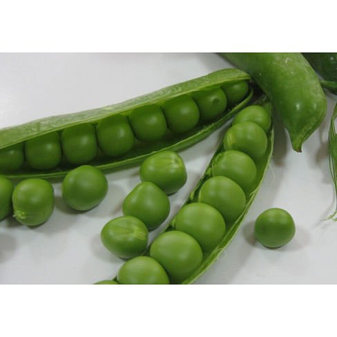 Продиджи семена гороха овощного среднепозднего Lark Seeds/Ларк Сидс