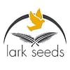 Агро F1 семена капусты конической ранней 2 500 семян Lark Seeds/Ларк Сидс