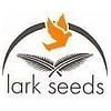 1980 F1 семена кукурузы суперсладкой (Sh2) средней Lark Seeds/Ларк Сидс