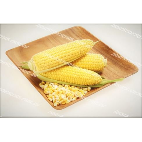 Карамелло F1 семена кукурузы суперсладкой Sh2 ультраранней 5 000 семян May Seeds