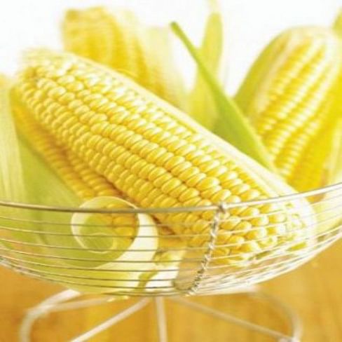 Вондерленд F1 семена кукурузы суперсладкой поздней 5 000 семян Agri Saaten
