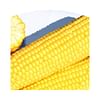 Рання Насолода F1 семена кукурузы супер сладкой Lark Seeds/Ларк Сидс