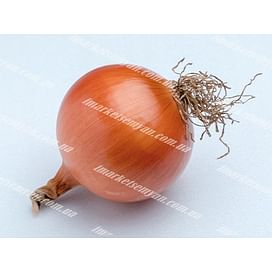 Ятоба F1 семена лука репчатого раннего 250 000 семян Enza Zaden/Энза Заден