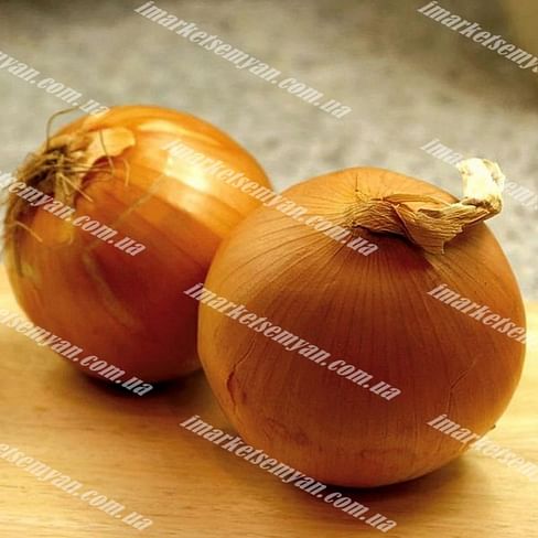 Рамбо семена лука репчатого 250 000 семян LibraSeeds