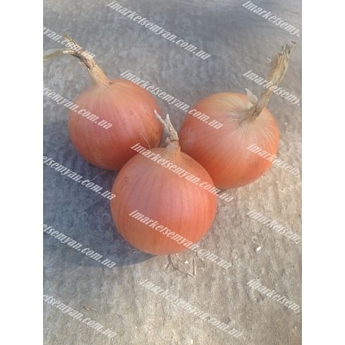 Рич F1 новинка лука репчатого 100 000 семян Lark Seeds/Ларк Сидс