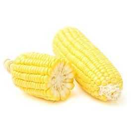 Кукуруза: выращивание, уход, защита