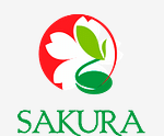 Sakura/Сакура