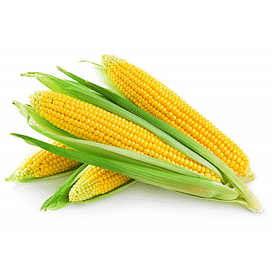 Семена Кукурузы