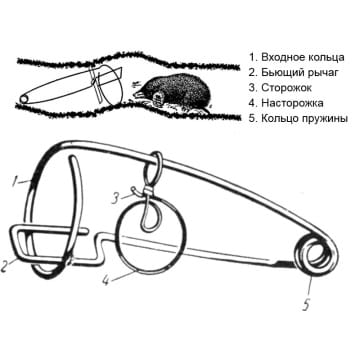 Кротоловка проволочная классическая САУС