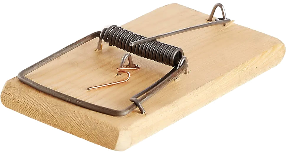 Крысоловка на деревянной подложке САУС