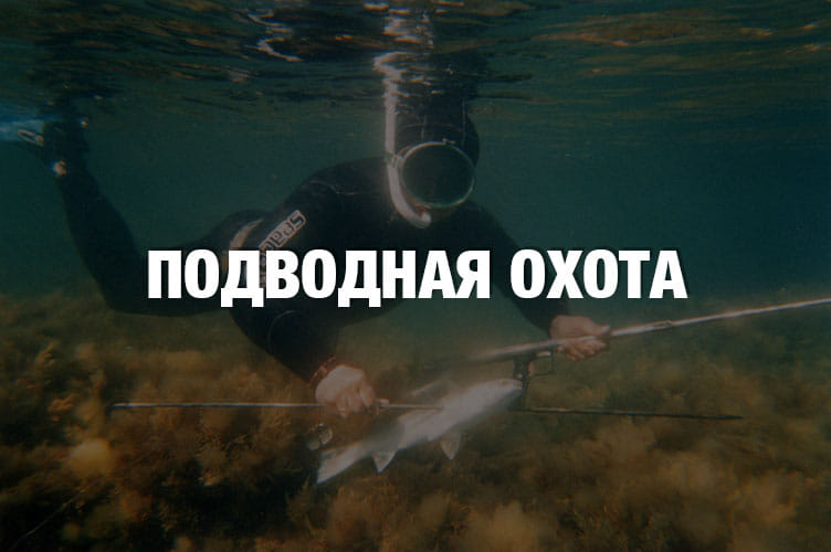 Подводная охота