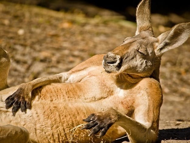 Работаем вместе!