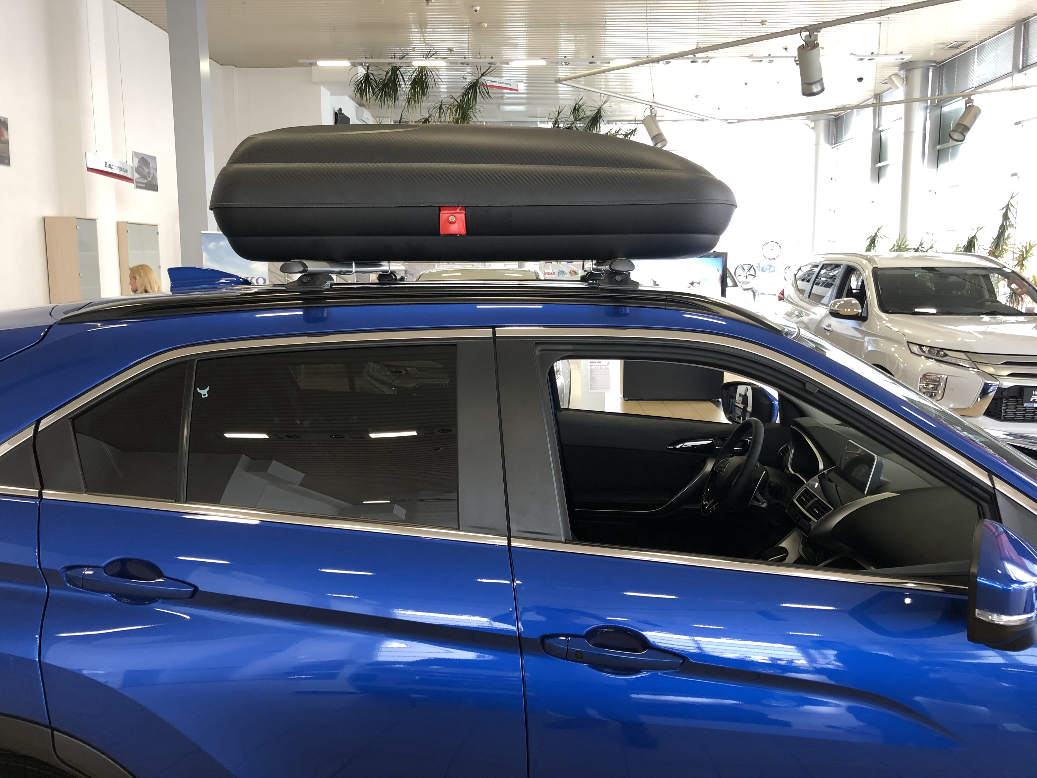 Боксы на крышу