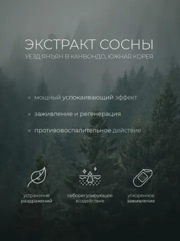 ПРИЕДЕТ 5-6.11 Travel-набор средств с экстрактом сосны Round Lab Pine Calming Cica Trial Kit