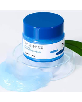 Увлажняющий бальзам для губ с берёзовым соком Round Lab Birch Juice Moisturizing Lip Balm (без кисти) Увлажняющий бальзам для губ с берёзовым соком Round Lab Birch Juice Moisturizing Lip Balm (без кисти)