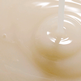 Питательная сыворотка с чёрной соей и комплексом витаминов B Round Lab Soybean Serum 50ml Питательная сыворотка с чёрной соей и комплексом витаминов B Round Lab Soybean Serum 50ml