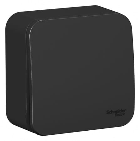 Переключатель Blanca 1-клавишный, 10А, Антрацит Schneider Electric BLNVA106016