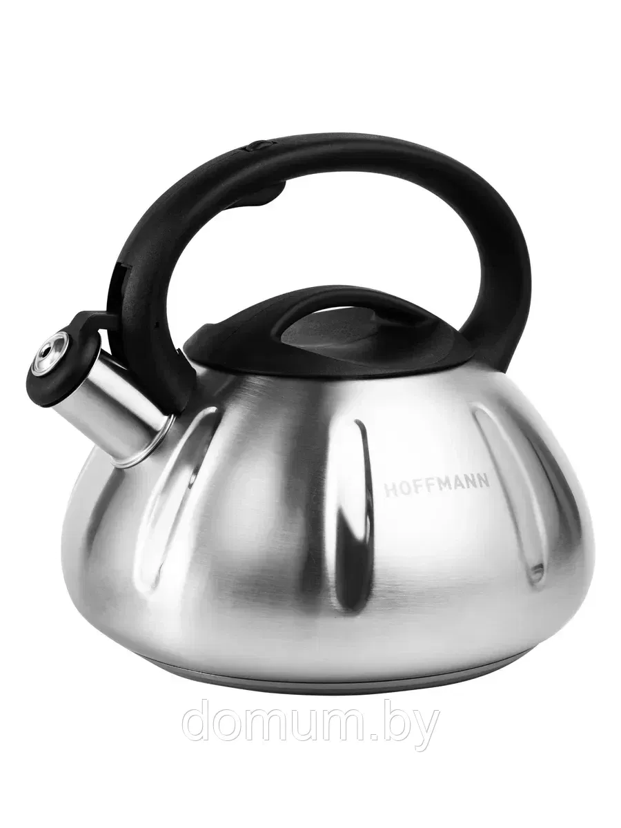 Чайник HM-55197 3л HOFFMANN
