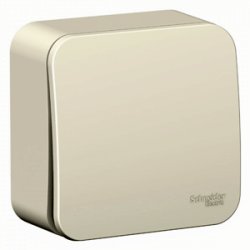 Выключатель Blanca с самовозвратом 1-клавишный, 10А, Молочный Schneider Electric BLNCA101012